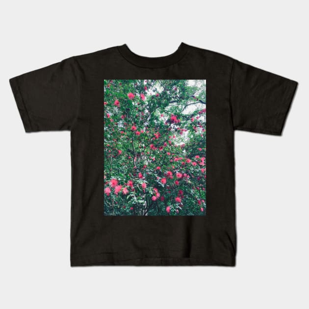 ohiʻa haʻole eucalyptus flower calliandra hawaii botanical garden Kids T-Shirt by maplunk